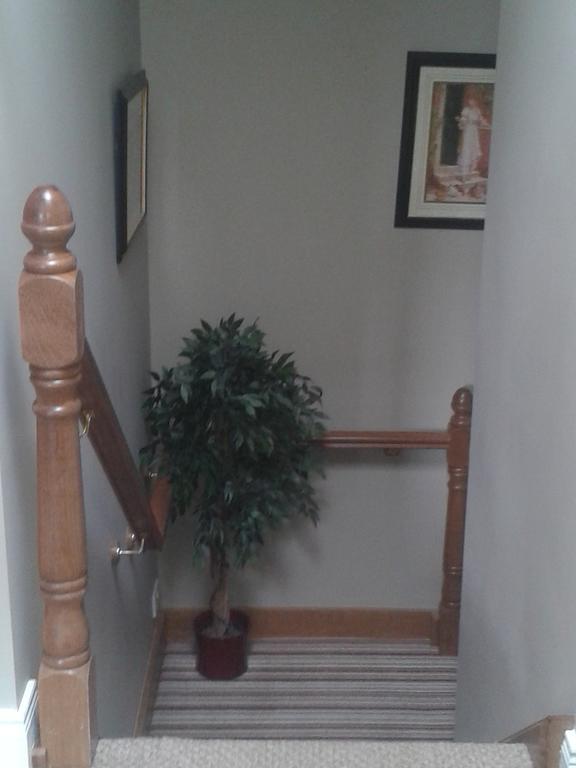 Ryebrook House Bed and Breakfast Κιλάρνεϊ Εξωτερικό φωτογραφία